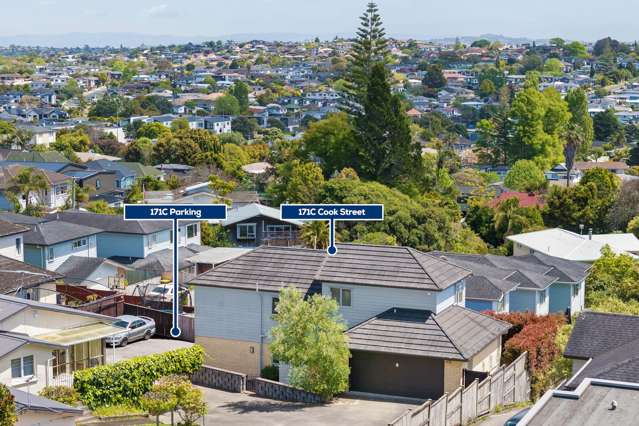 171C Cook Street Howick_2