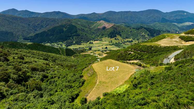 Cable Bay Road Hira_4