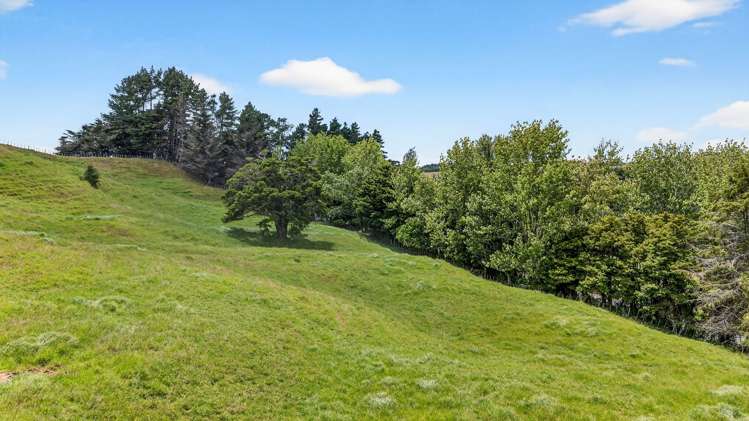 421 Wharehine Road Wellsford_32