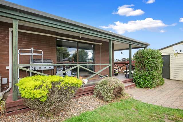 46 Raupo Street Bromley_2