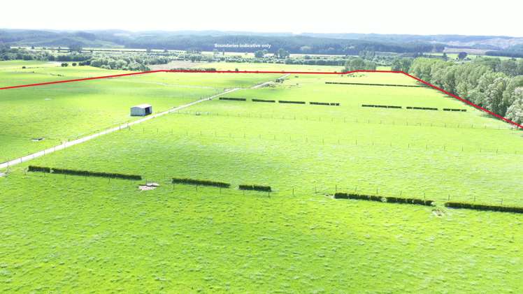 4980 Galatea Road Murupara Surrounds_7