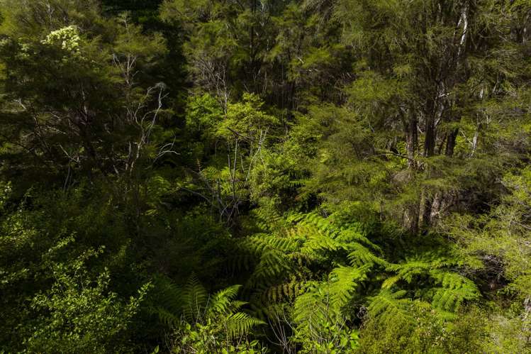 Lot 1 Nydia Bay Marlborough Sounds_24