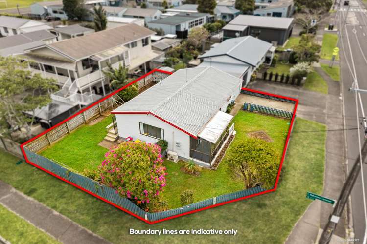 2a Nukumea Common Orewa_0