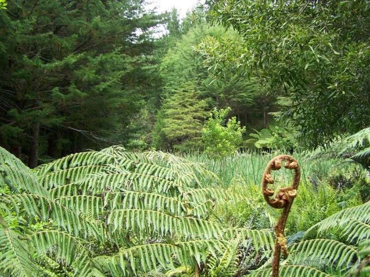 301 Pretoria Road Shannon_14