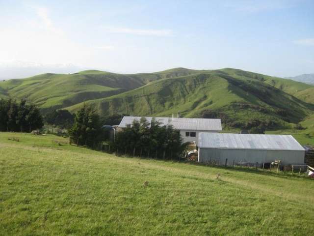 346 Waitahora Road Dannevirke_1