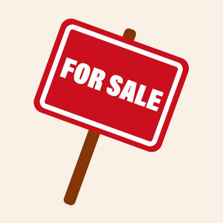 Popular Dunedin Motel Dunedin North_1