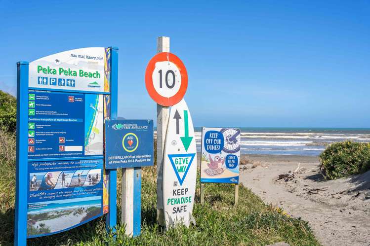 289 Peka Peka Road Peka Peka_2