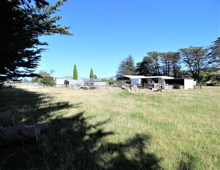 49899 State Highway 3 Woodville_21