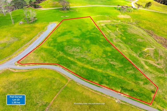 Lots 10-22 Morgan Rise Kaukapakapa_4