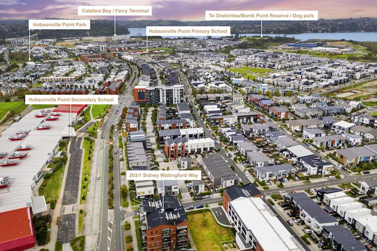 203/1 Sidney Wallingford Way Hobsonville_20