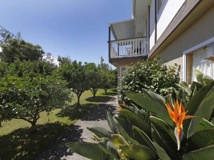 1 March Street Spring Creek_10