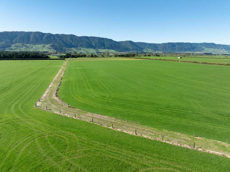 Maiseys Road Matamata_5