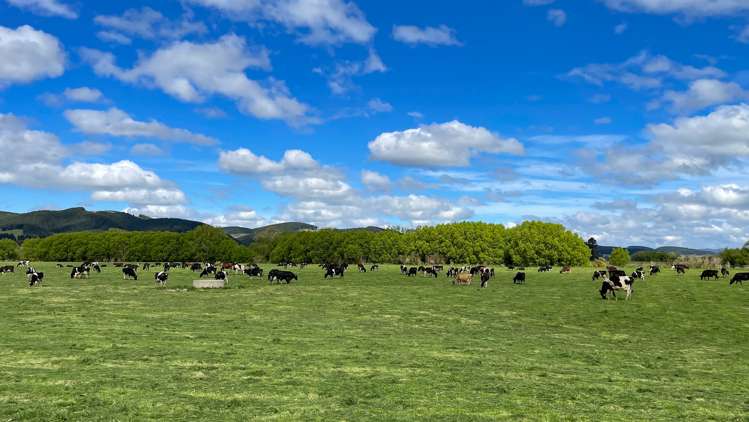 650 Koi Flat Road Gore Surrounds_12