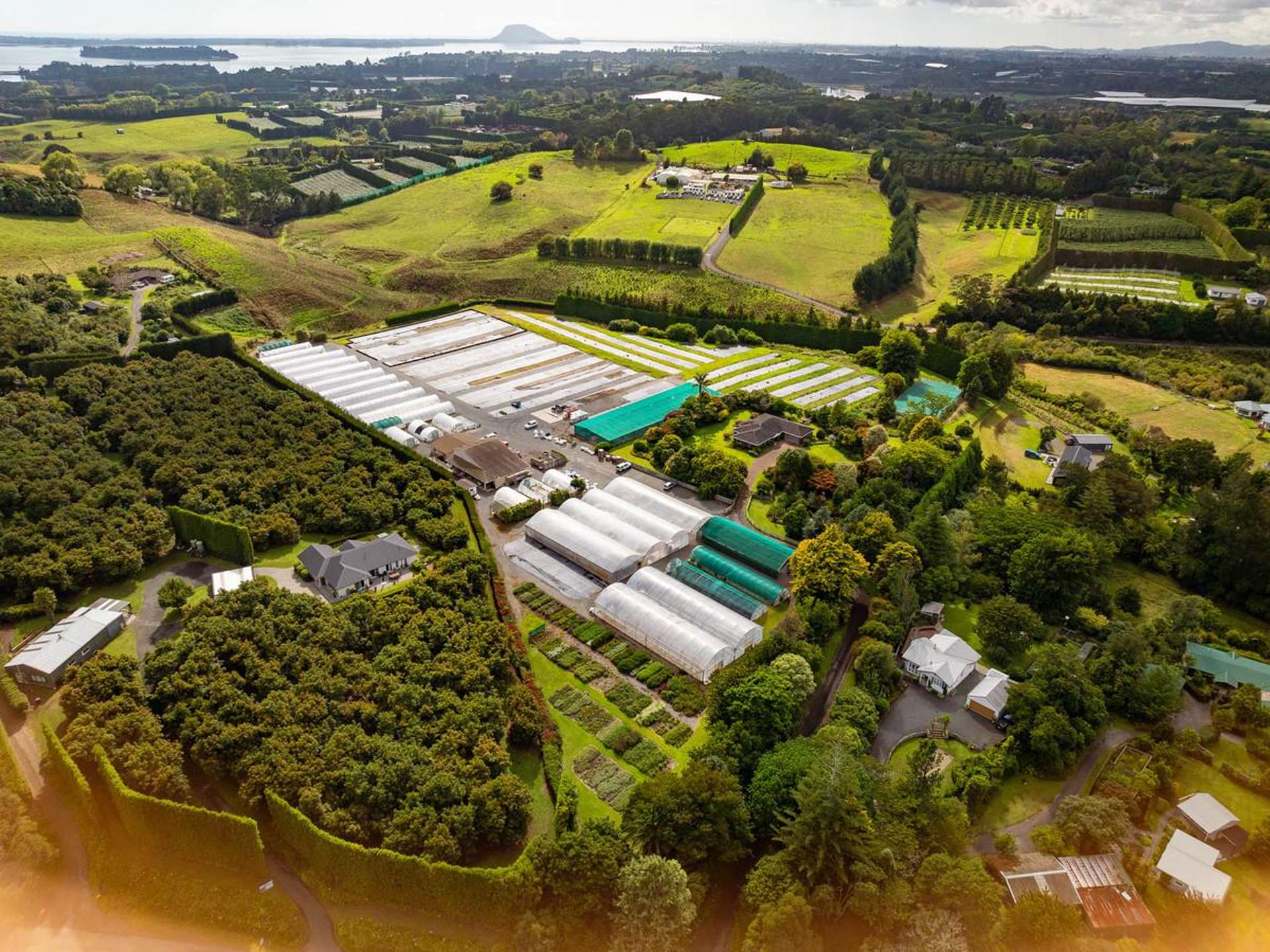 389 Old Highway Whakamarama_0