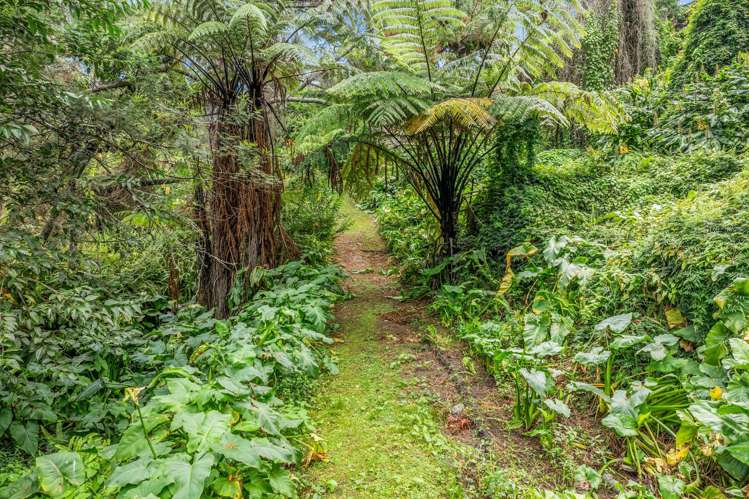 146A Hokianga Road Dargaville_22