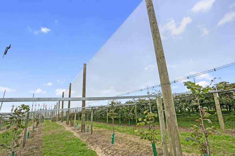 263 Waihi Beach Road Waihi_12