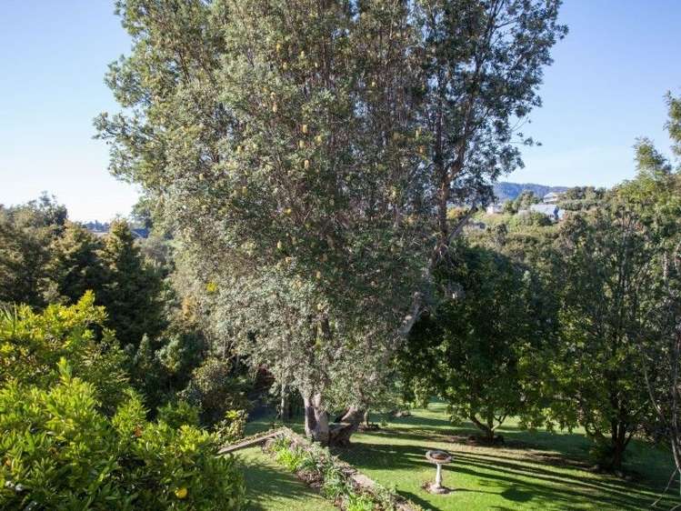 36 Rewa Rewa Vall Tairua_19