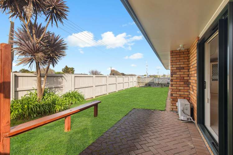 394 Park Road Te Awamutu_13