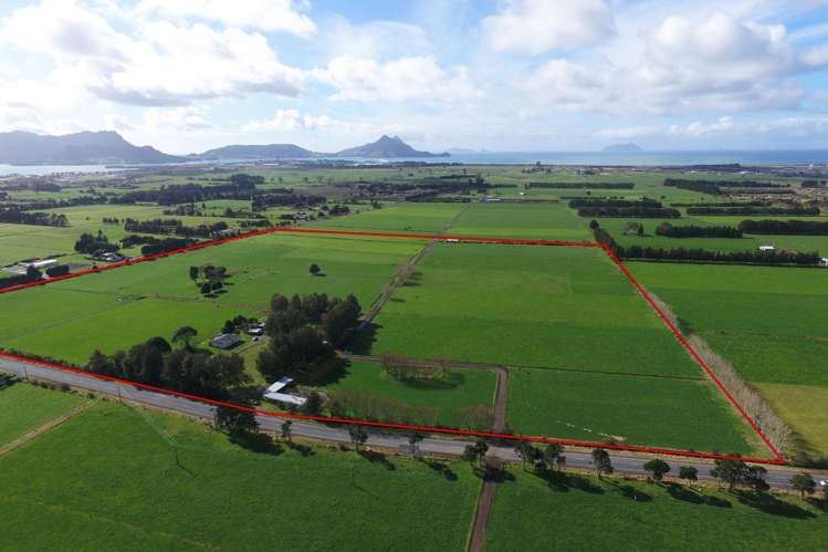 785 One Tree Point Road Ruakaka_11