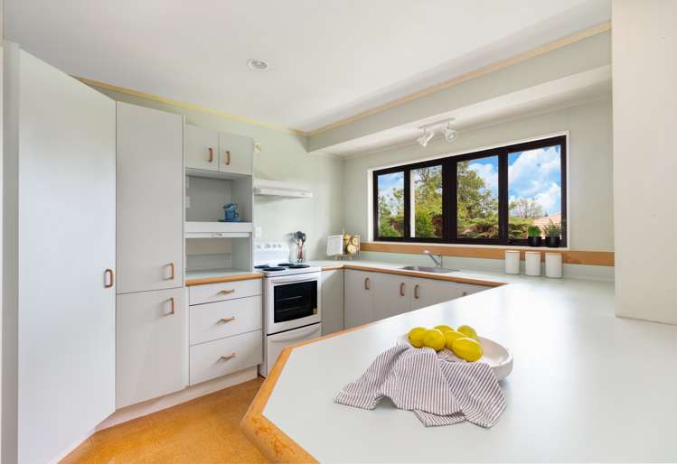 16a Goodwin Avenue Springfield_6