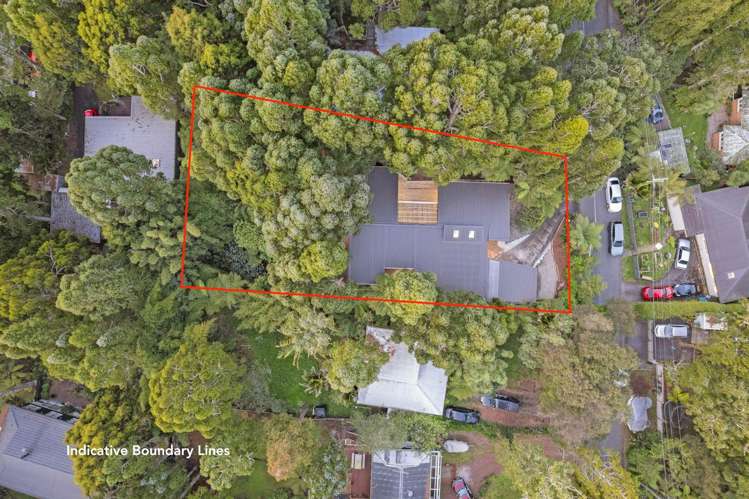 19 Tainui Road Titirangi_34