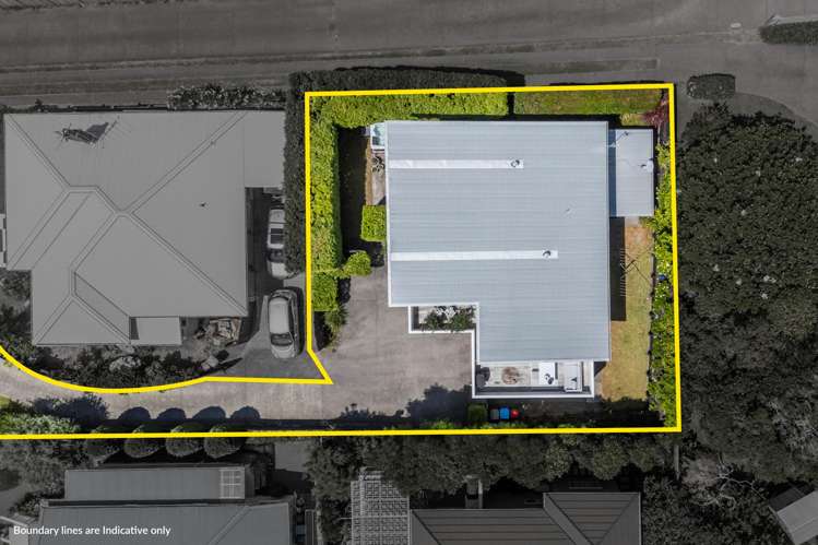 9A Seaview Terrace Mount Albert_18