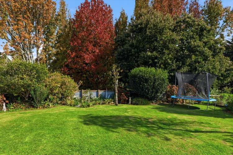 45B Moehau Street Te Puke_14