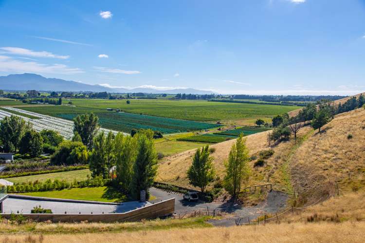 166 Dry Hills Lane Riverlands_10