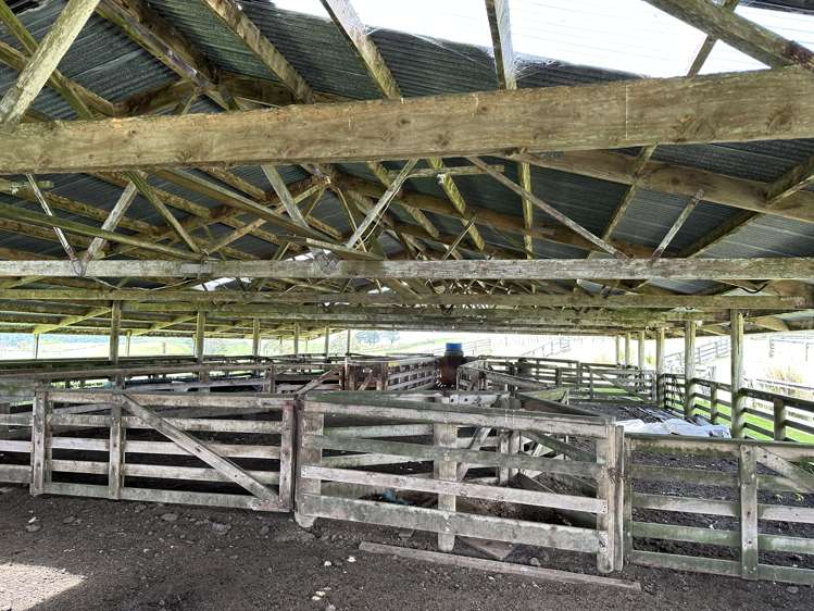 1228a Bull Road Paparoa_10