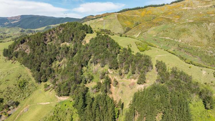 14 Hillplough Heights Richmond_25