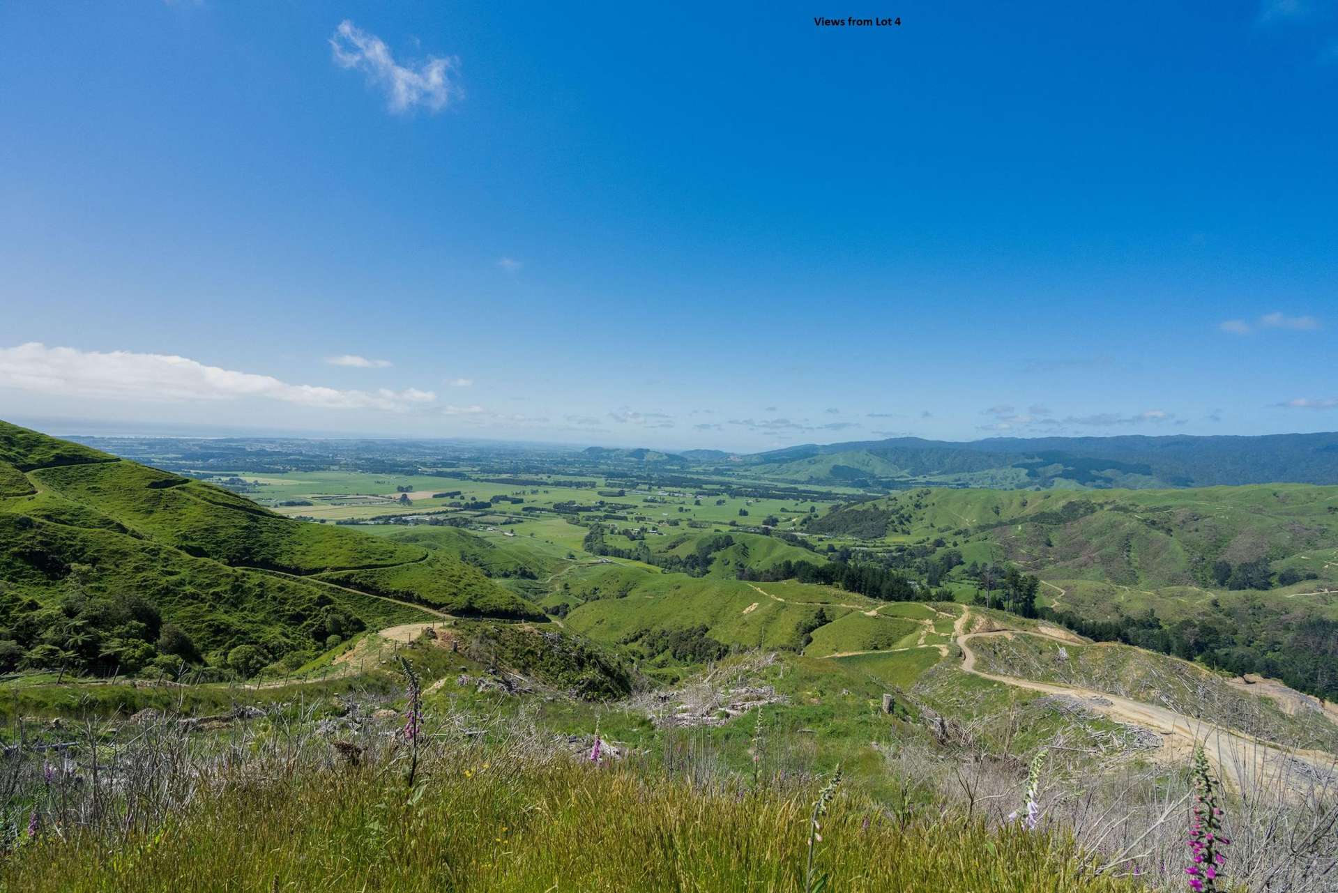 170 Mangaone North Road Te Horo_0