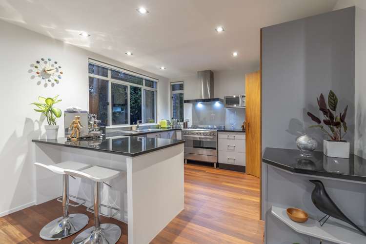 4 Dexter Avenue Mount Eden_6