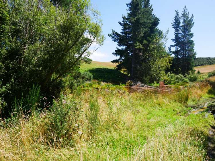 2705 Waikouaiti-Waitati Road Waikouaiti_19