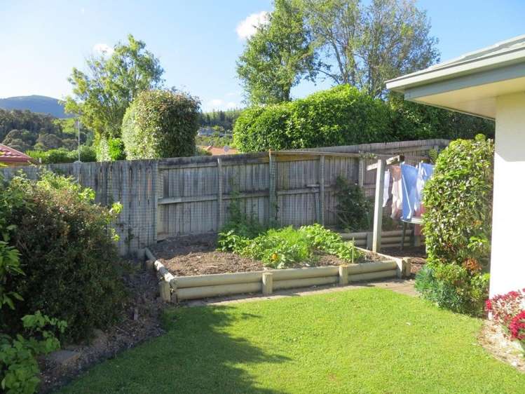 377 Suffolk Road Stoke_14