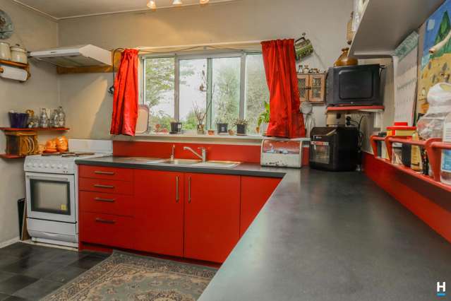 854 Nelson Creek Road Hochstetter_1