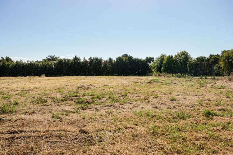 104 Tara Road Papamoa_6