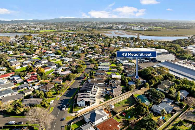 43 Mead Street Avondale_21