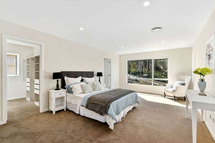 249b Lonely Track Road Albany Heights_15