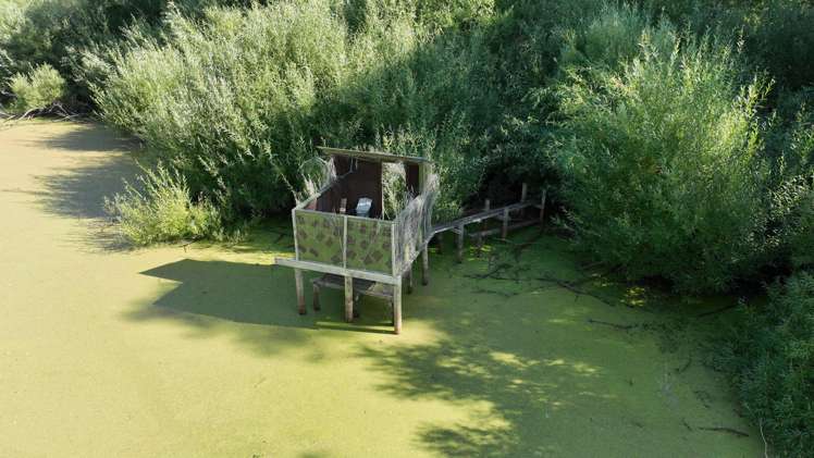 72 Taumata Island Road Taumata Island_15