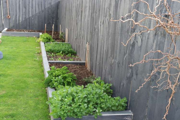 139 Allens Road Allenton_11