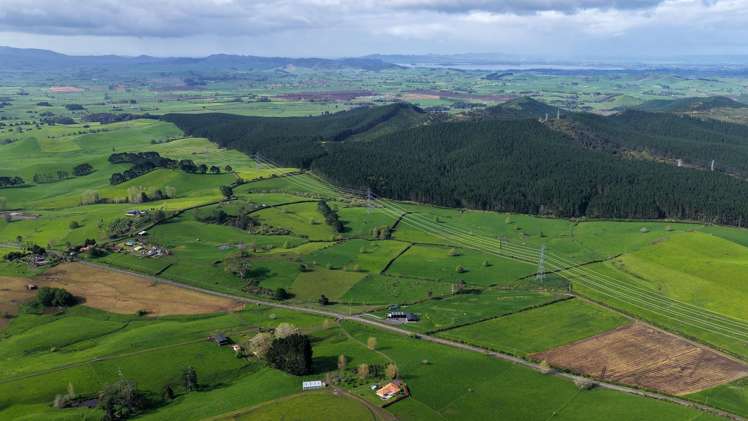 8 Mackay Road Maramarua Forest_17