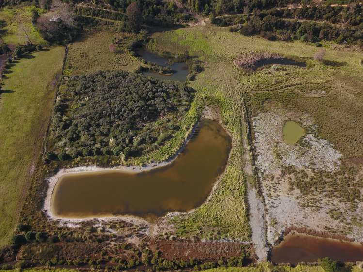 132 Pukewhai Road Kaingaroa_16