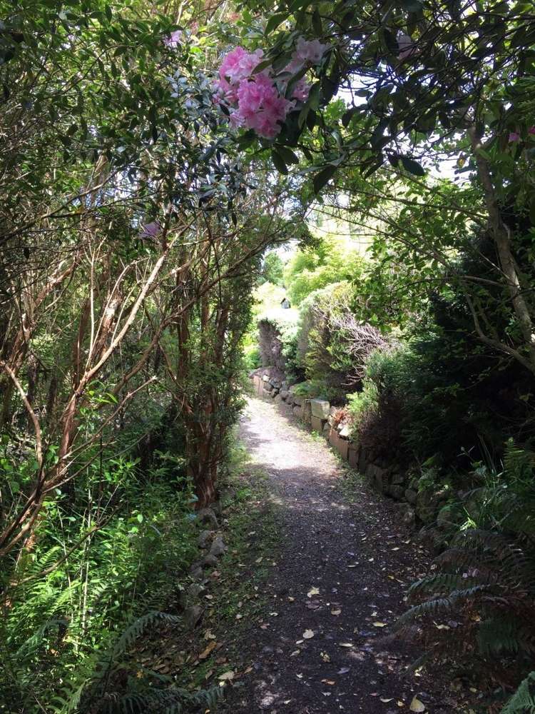 37 Greenacres Street Macandrew Bay_14