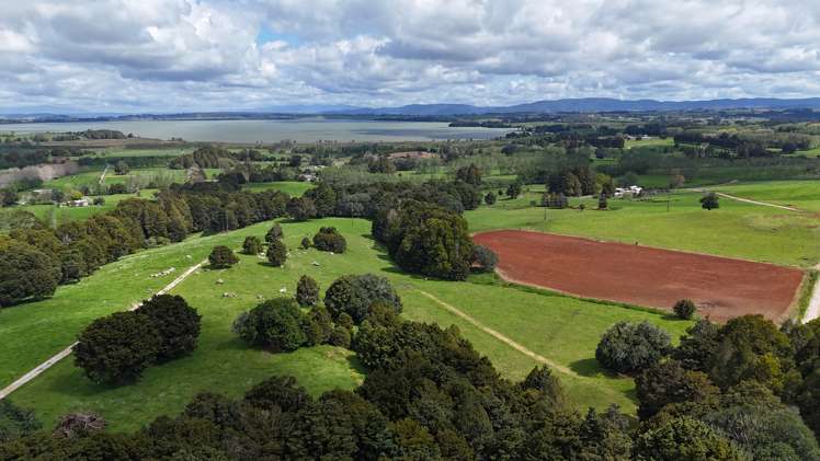 664 Te Pua Road Kaikohe_25