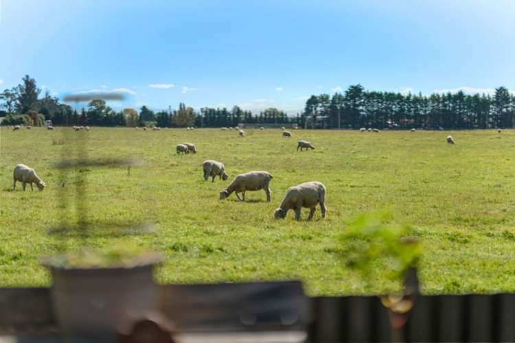 8 Lordship Place Templeton_24