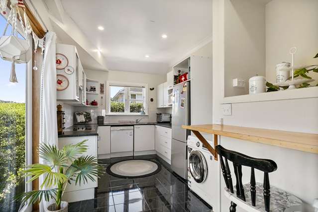 7a Camperdown Road Miramar_3