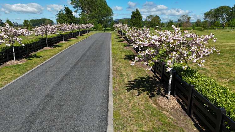 - Highgrove Station Road Matamata_14