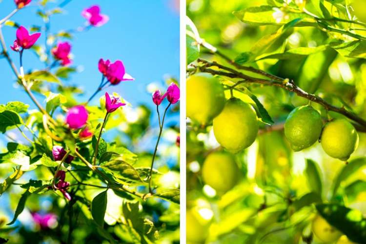 3 Washington Terrace Washington Valley_27