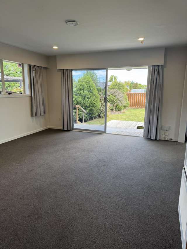 103 Grove Street Tinwald_4