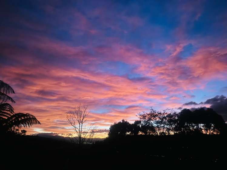  B/259 Major Drive Kelson_22